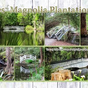 Magnolia Plantation2 Bridges