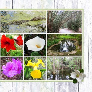 Magnolia Plantation3, right side