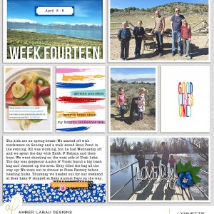2017 week 14, left side