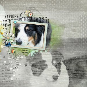 Explore