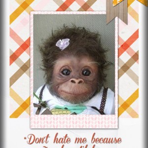 Don't-Hate-Me..