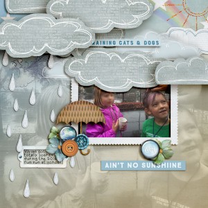 Raining Cats and Dogs