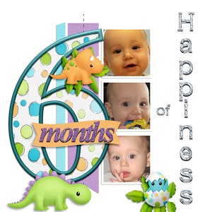 6 Months