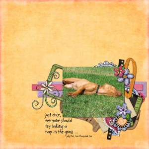 nap in the grass