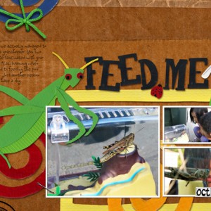 Feed Me