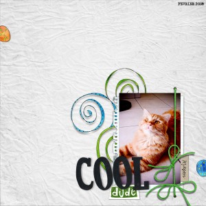 Cool Dude