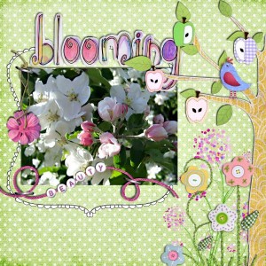 Blooming Beauty