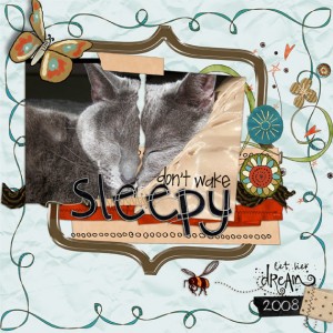 sleepy