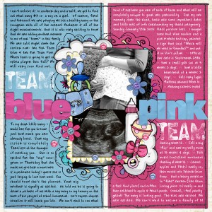 Team Blue Or Team Pink