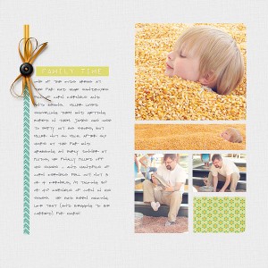 Corn from the Fair