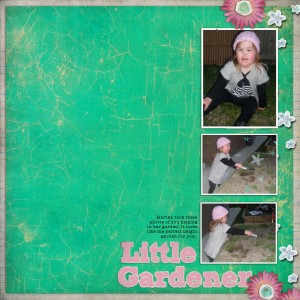 Little_Gardener_web