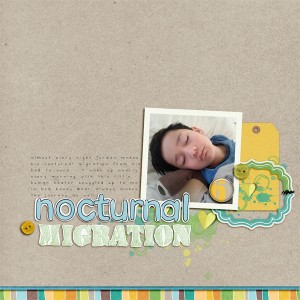 nocturnal migration