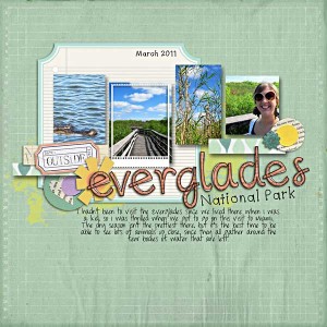 The Everglades