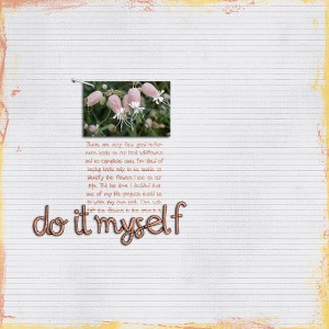 do it myself