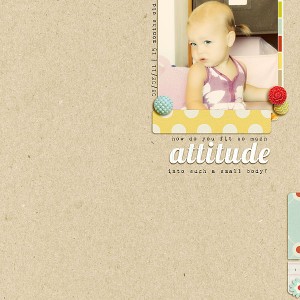 Attitude