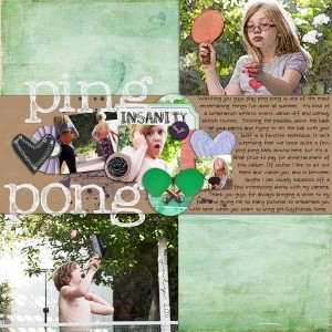 Ping Pong Insanity