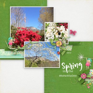 Spring in the Mountains