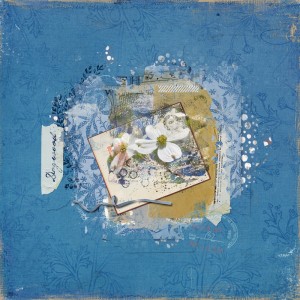 Inspiration Challenge May 2017