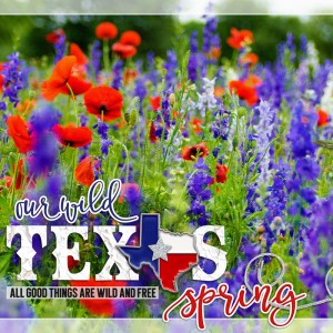 Our Wild Texas Spring (PAGE 1)