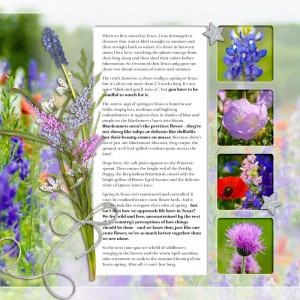 Our Wild Texas Spring (PAGE 2)