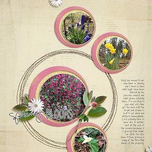 Spring Blooms