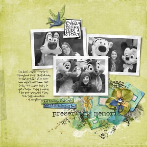 Preserving Memories