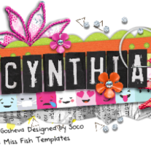 Signature Challenge iNSD 17
