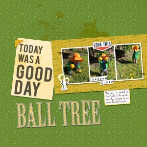 BallTreeMay2017IC