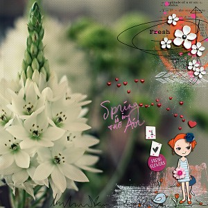 Fresh-flowers