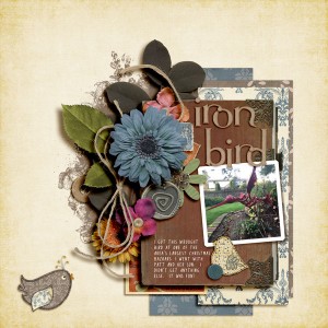 Iron Bird