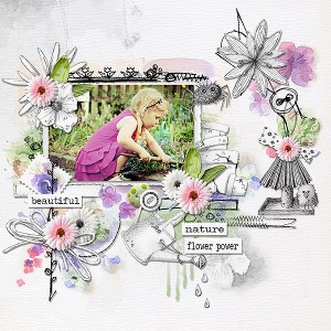 Light and Shade: Flower Garden Collection