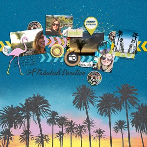 A Fabulous Vacation