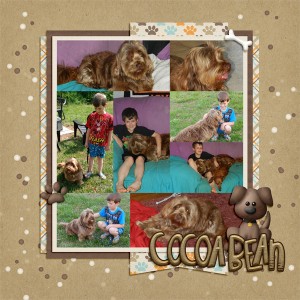 CocoaBean