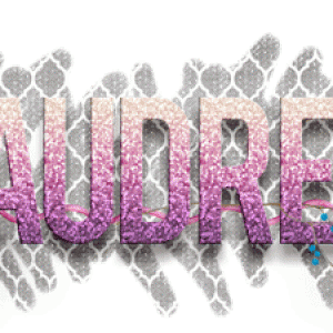 iNSD Signature 2017