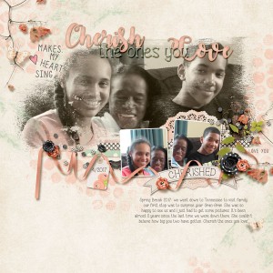 Cherish the Ones you Love - NSD Slow Scrap 5/6