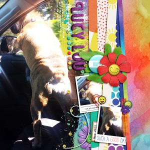 Lucy Lou the car dog