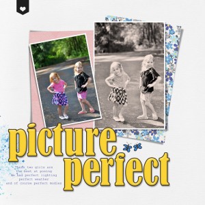 Picture Perfect
