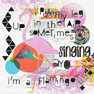 Sing-AYo-I'm-a-Flamingo