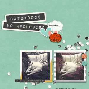 Cats Rule