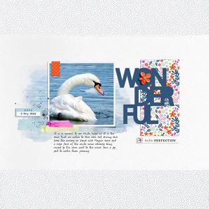 White Swan