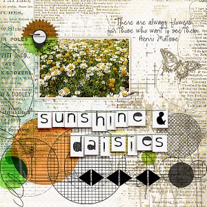 Sunshine & Daisies