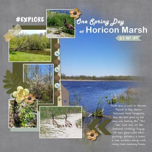 One Spring Day At Horicon Marsh