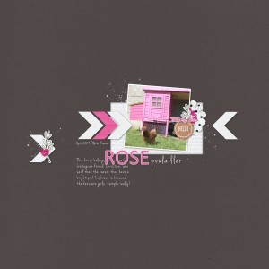 Little Pink Hen House