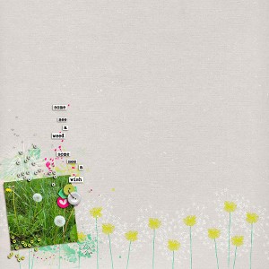 Dandelion