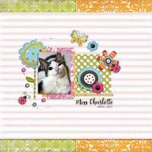 miss charlotte