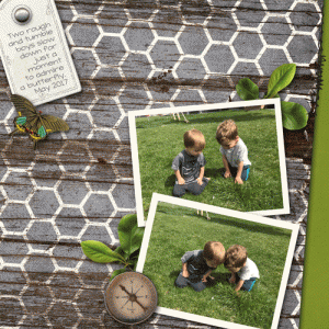 Cayton-butterfly-web