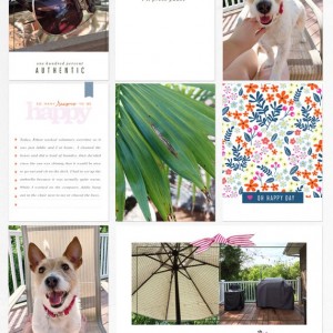 Today, I'll press pause... | One Little Bird CT Layout
