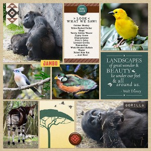 Page 2 Gorilla Falls Exploration Trail (April 2017)