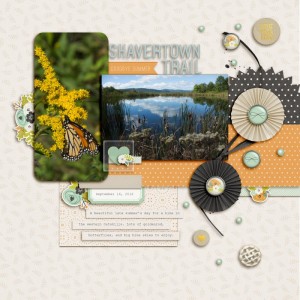 Shavertown Trail