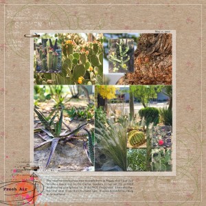Cactus-Gardens May 2017 Inspiration Challenge